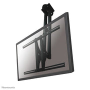 Neomounts PLASMA-C100BLACK Deckenhalterung