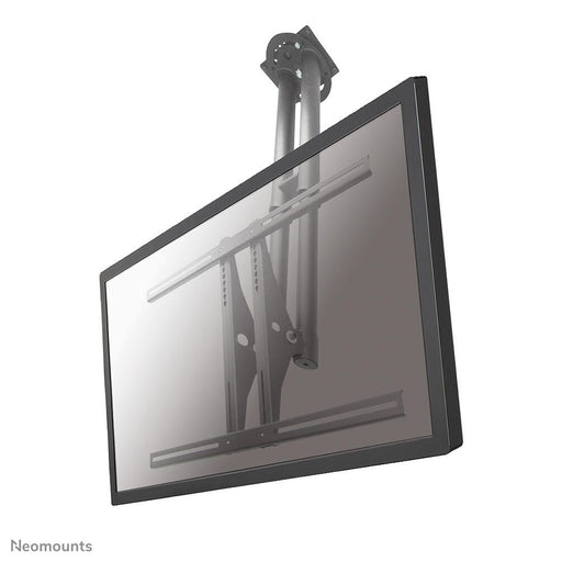 Neomounts PLASMA-C100 Deckenhalterung