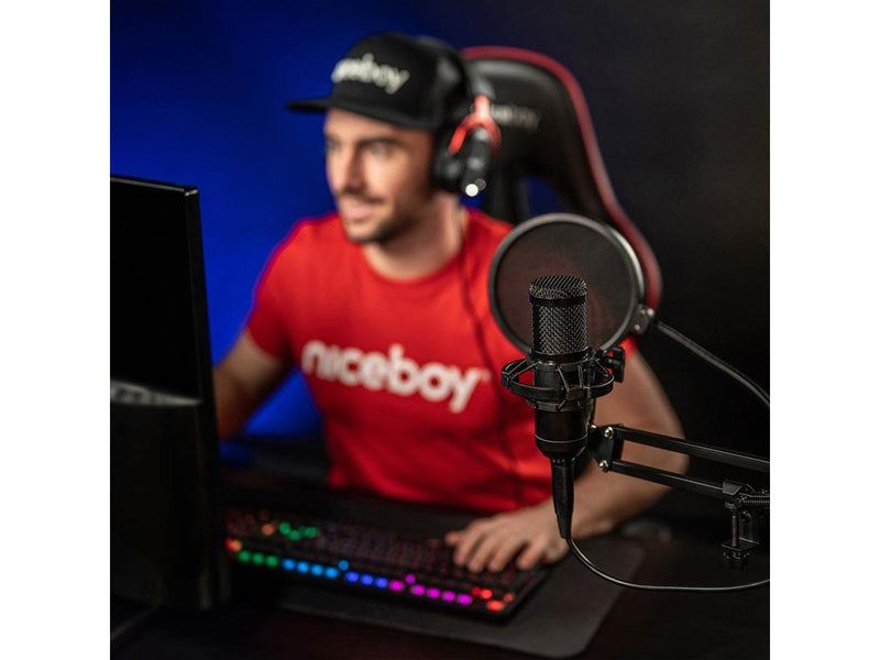 Niceboy VOICE Handle
