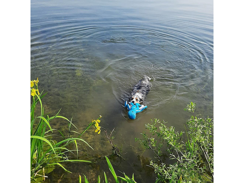 Nobby Blæksprutte Floating