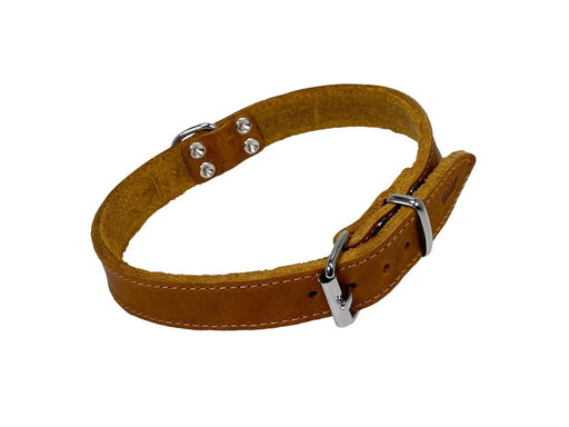 Nobby Halsbånd TABIL 50 cm (41-46 cm) 20 mm Cognac
