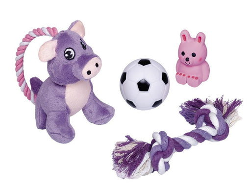 Nobby Hvalpe Starter Set - legetøj