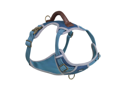 Nobby Sele SPORTY L Blå