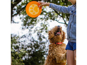 Nobby TPR frisbee - Paw