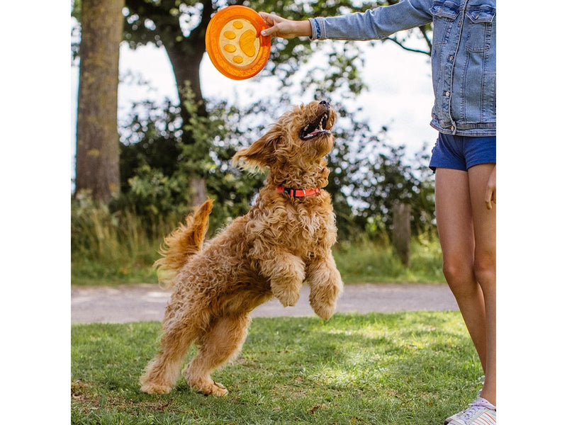 Nobby TPR frisbee - Paw