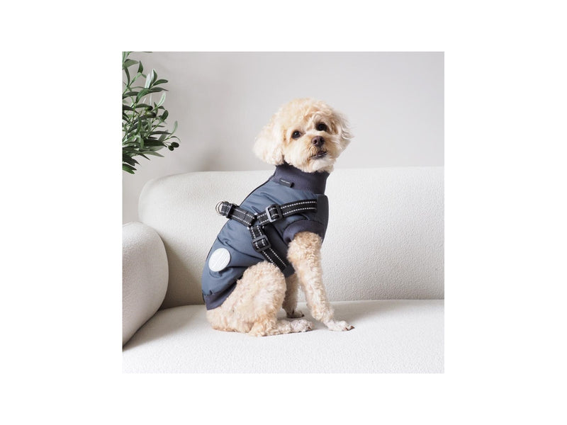 Nordic Paws - Dogcoat Thor with harness 35 cm - Anthracite - S