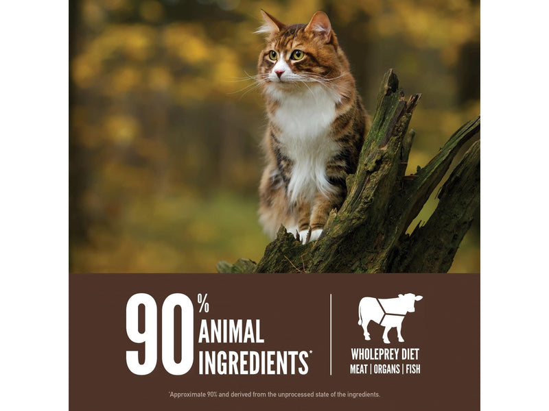 ORIJEN Regional Red Dry Cat Food 5.4kg
