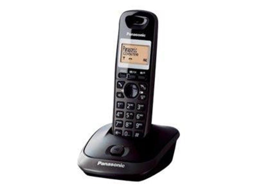 Panasonic KX-TG2511PDM - cordless phone with caller ID