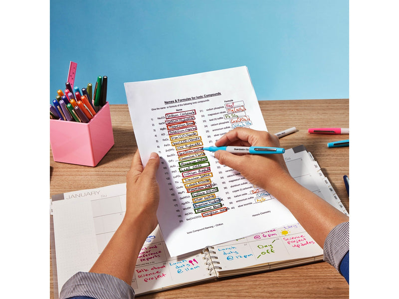 Paper Mate Flair Filzstifte | Fette Spitze (1,2 mm) | Verschiedene Farben | 12 Stück