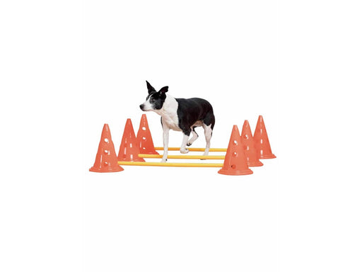 Pawise - Agility Training Set 30 cm
