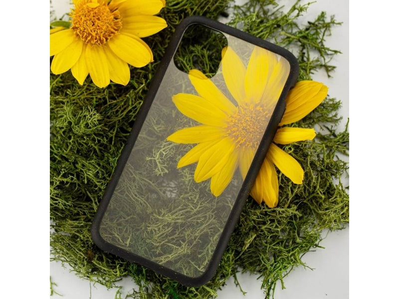 Pela Clear - iPhone 11 Pro case - Black