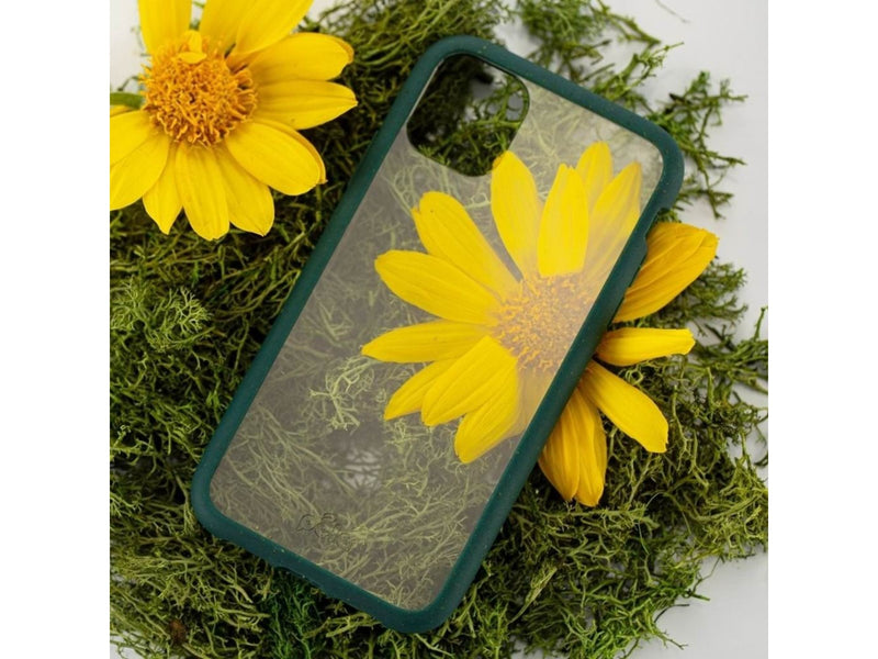 Pela Clear - iPhone 11 Pro case - Green