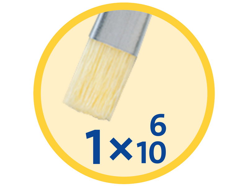 Pelikan Pinsel Starter-Set PI/5/B