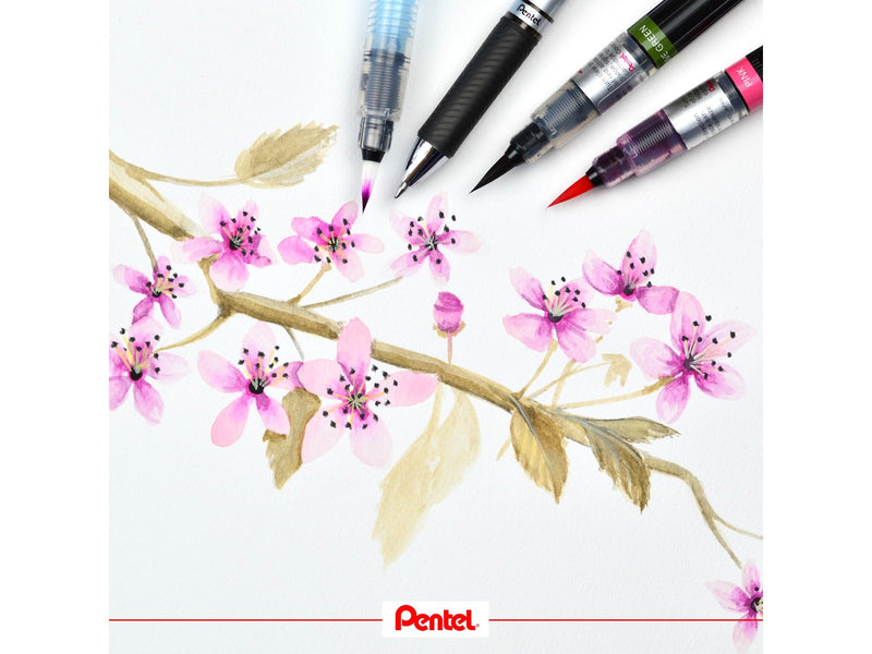 Pentel Arts Aquash