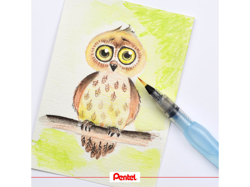 Pentel Arts Aquash