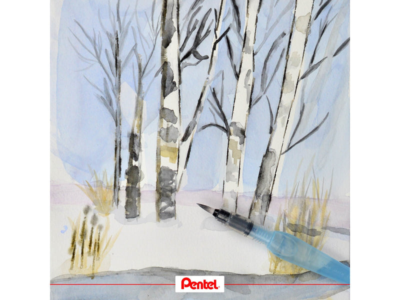 Pentel Arts Aquash