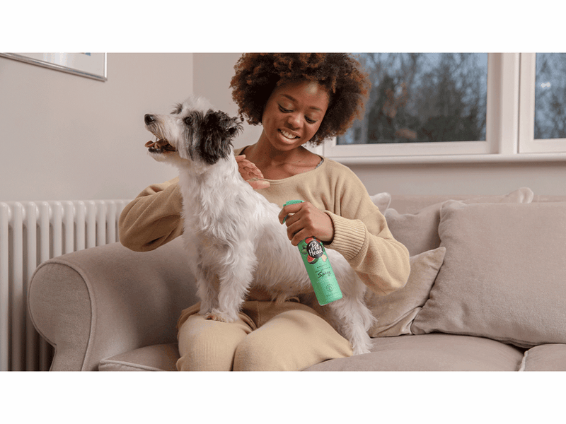 Pet Head Furtastic Dog Detangling Spray 300ml