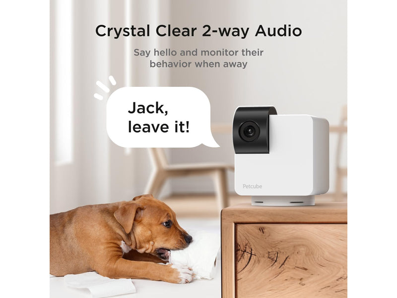 Petcube CAM360