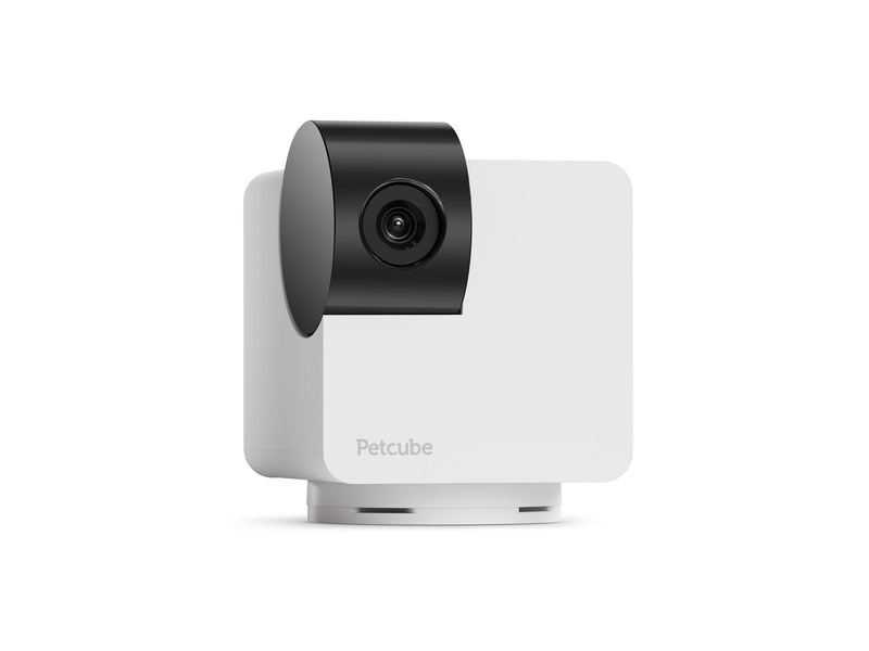 Petcube CAM360
