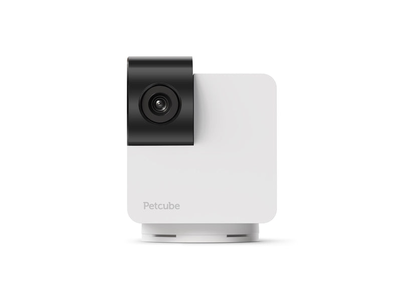 Petcube CAM360