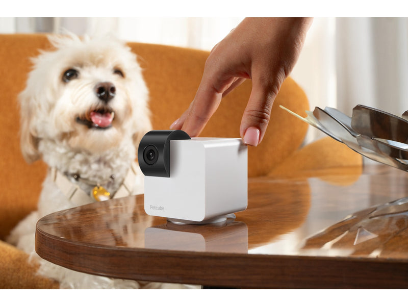 Petcube CAM360