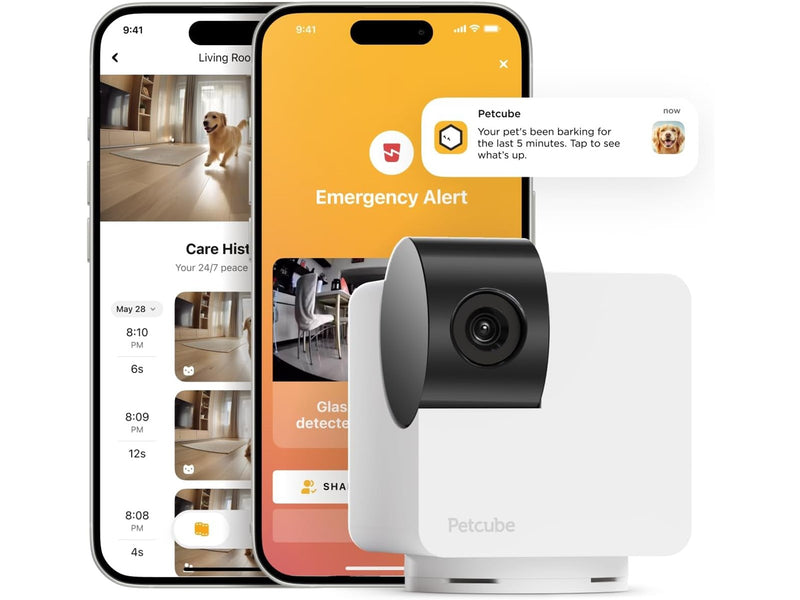 Petcube CAM360
