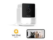 Petcube Cam