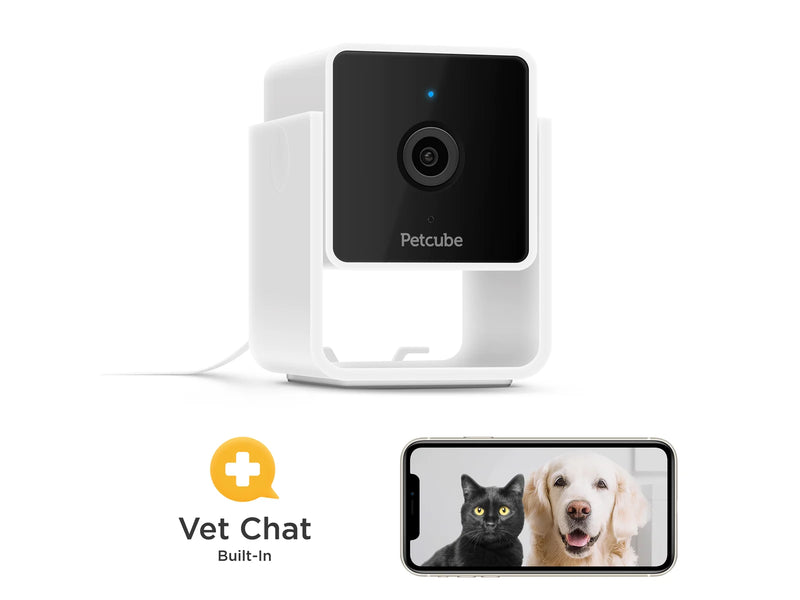 Petcube Cam
