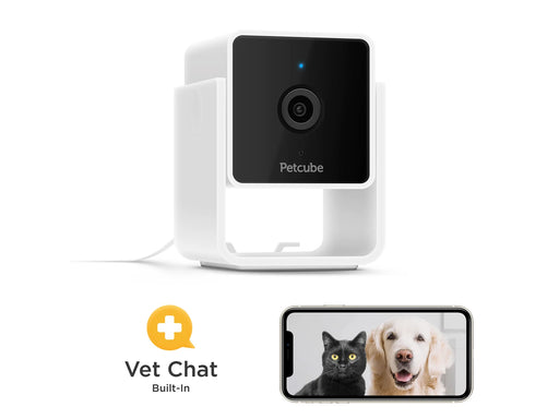 Petcube Cam