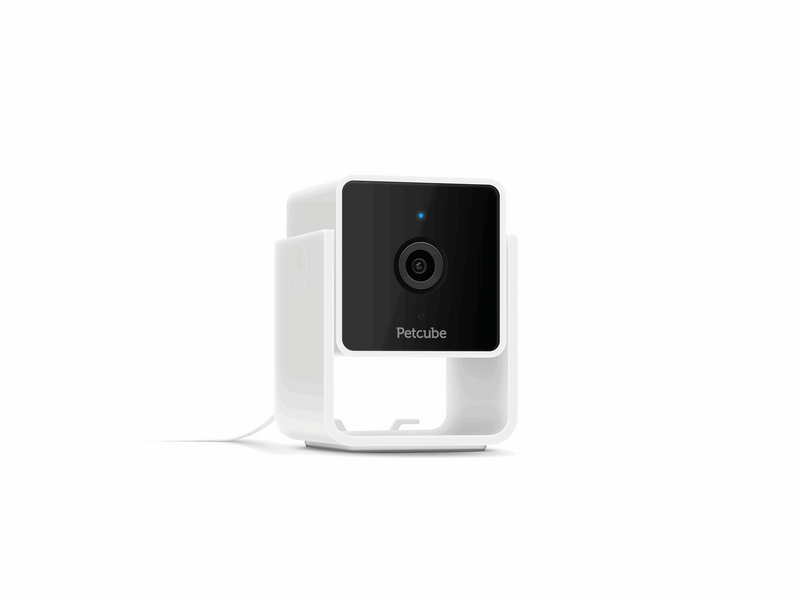 Petcube Cam