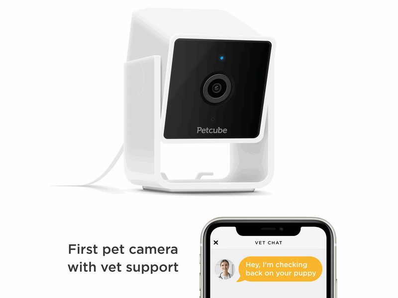 Petcube Cam