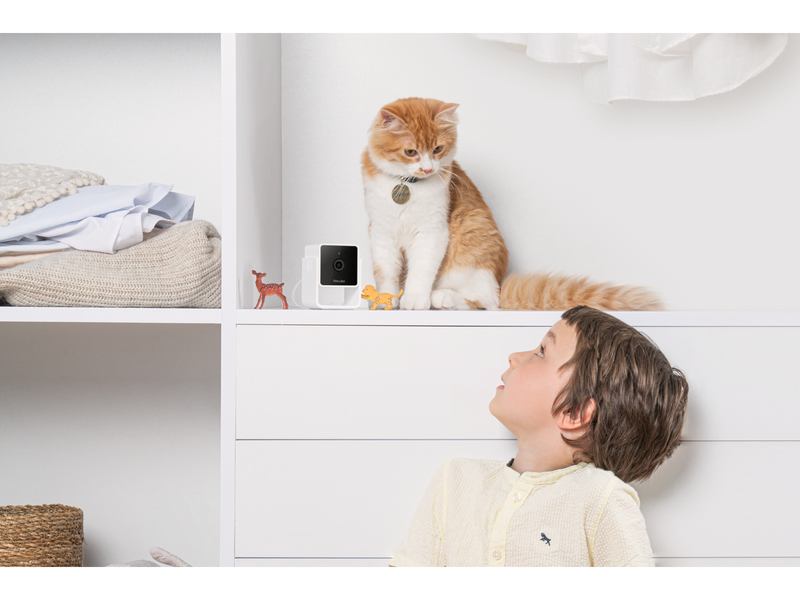 Petcube Cam