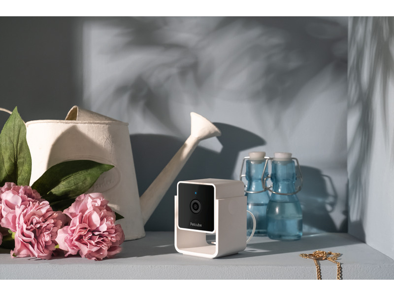 Petcube Cam