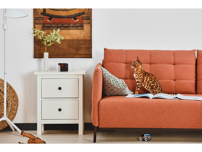 Petcube PLAY2