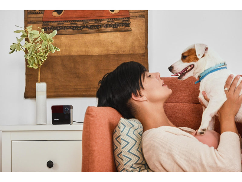 Petcube PLAY2