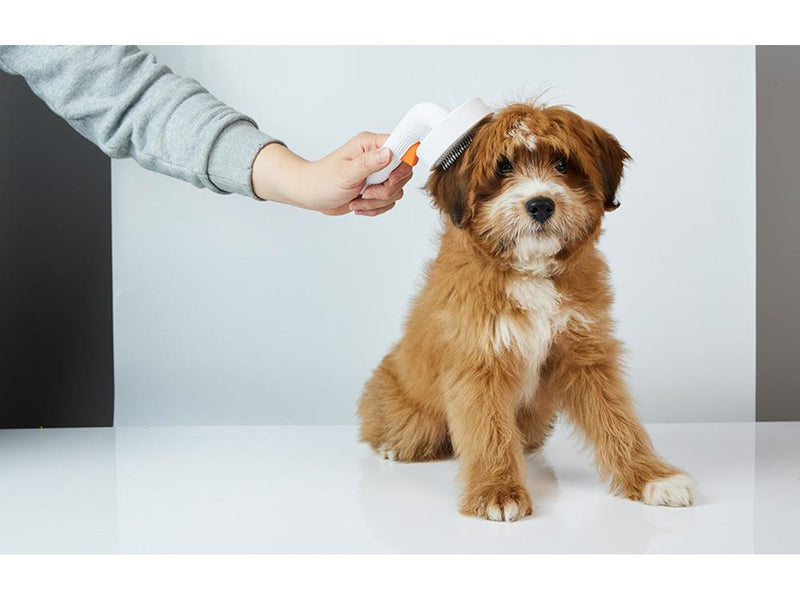 Petkit Pet Fur Grooming Brush