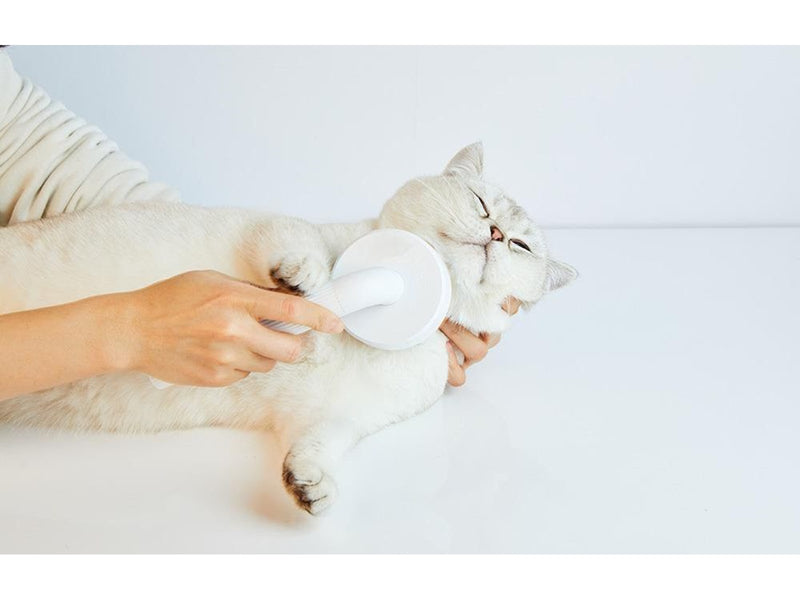 Petkit Pet Fur Grooming Brush