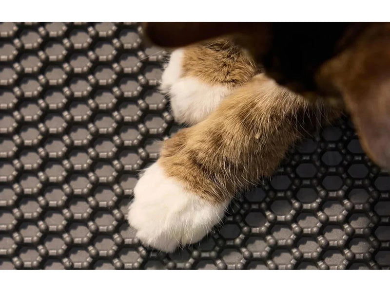 Petlibro Luma Litter Box Mat - *DEMO*