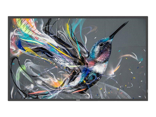 Philips 43BDL3511Q Q-Line - 43" Class (42.5" viewable) LED-backlit LCD display - 4K - for digital signage