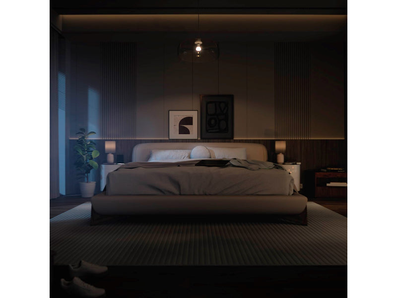 Philips A60 - E27 smart bulb - 1100 - 2-pack