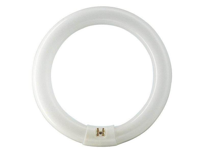 Philips Fluoreszierende Glühbirne Master TL-E Circular 32W/840 G10q