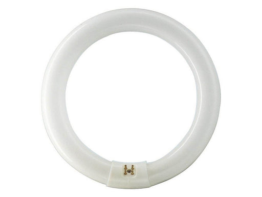 Philips Fluoreszierende Glühbirne Master TL-E Circular 32W/840 G10q