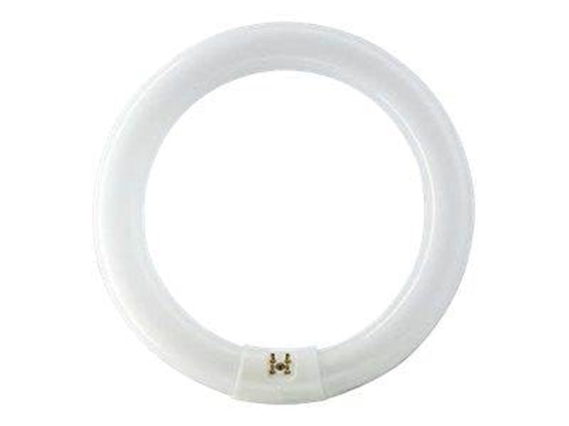 Philips Fluoreszierende Glühbirne Master TL-E Cirkular 40W/840 G10q