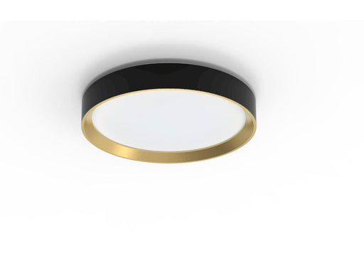 Philips Hanno ceiling SS RD 24W 27K B_G
