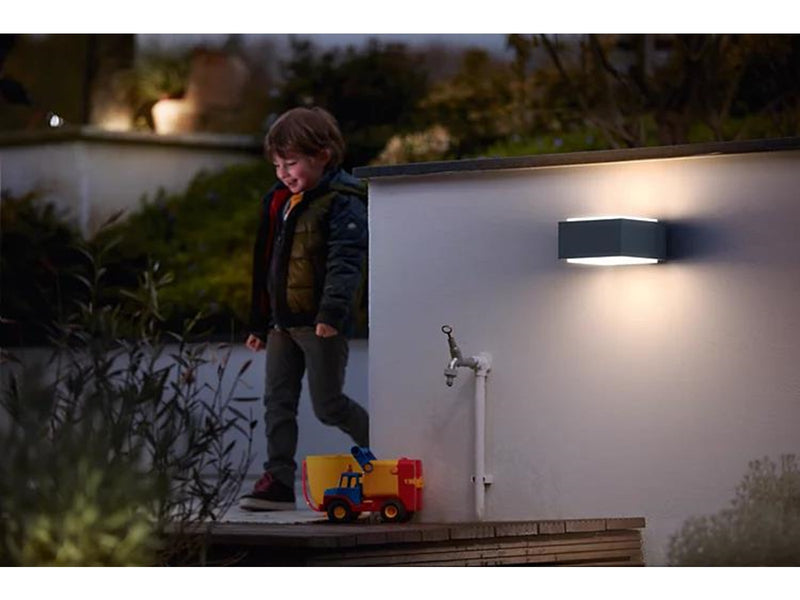 Philips Hedgehog außenwandleuchte, anthrazit