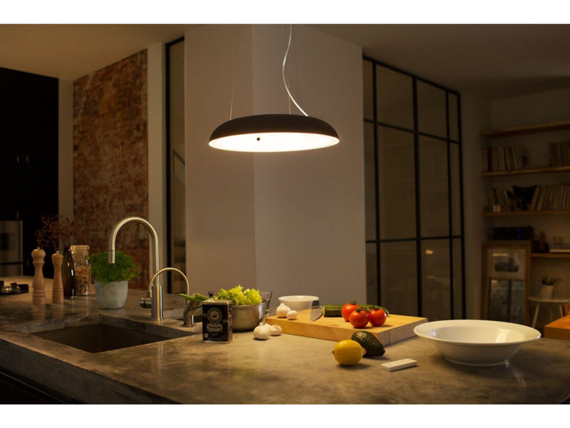 Philips Hue Amaze Pendant Ceiling Light - Black