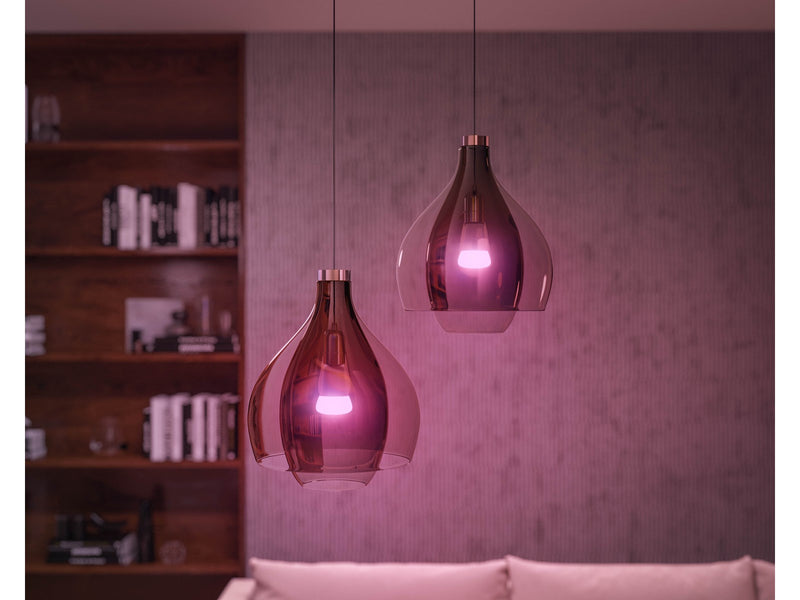 Philips Hue Color A60 E27 1100 Lumen - 1-Pack *DEMO*