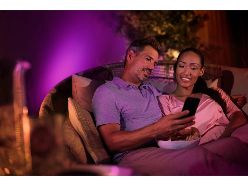 Philips Hue Outdoor Lily XL Spike Spot - Verlängerung