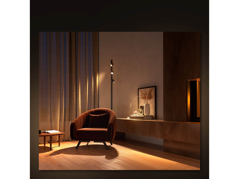 Philips Hue Perifo Cylinder Spotlight - Black