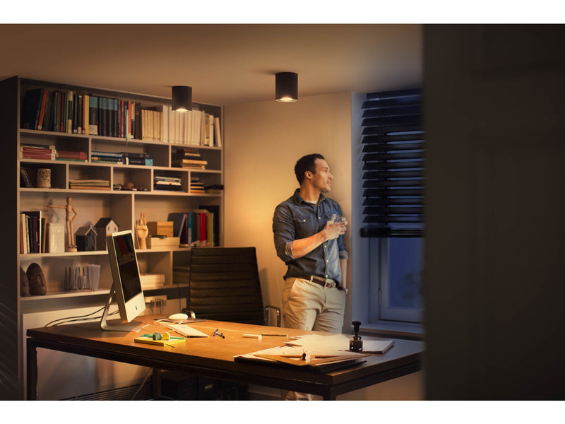 Philips Hue Pillar Single Spotlight - Black - With Dimmer Switch